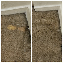 Small yellow bleach spot before and after carpet colour repair