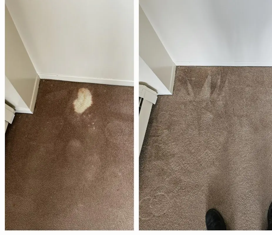 Large bleach spot before and after colour repair