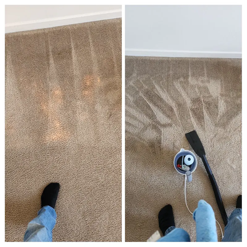 Multiple pale carpet spots before and after colour repair