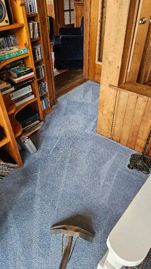 A real Happy House carpet extraction in progress inside an Ottawa home