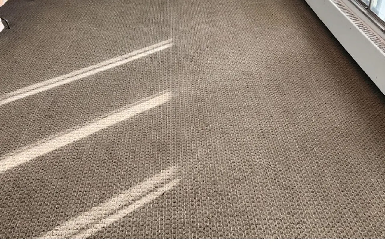 Carpet after deep cleaning