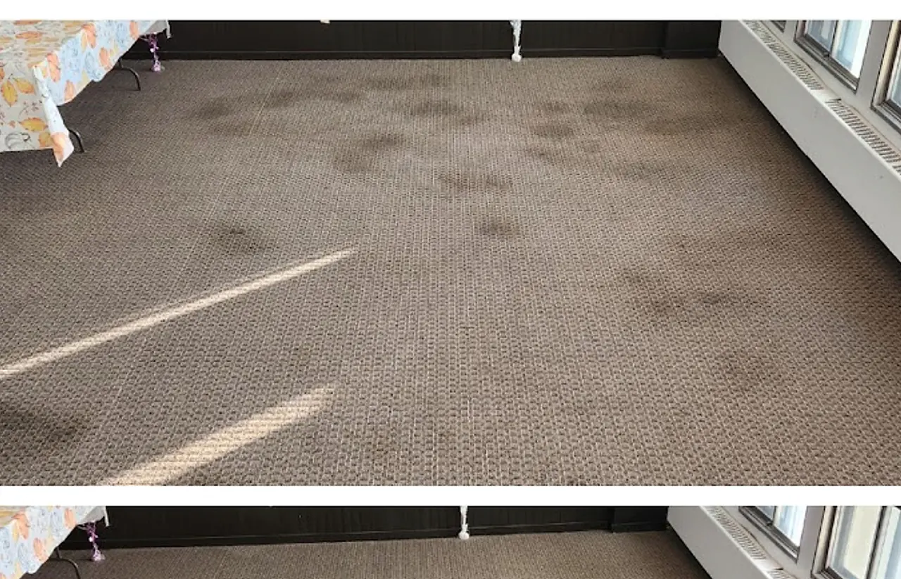 Carpet before deep cleaning