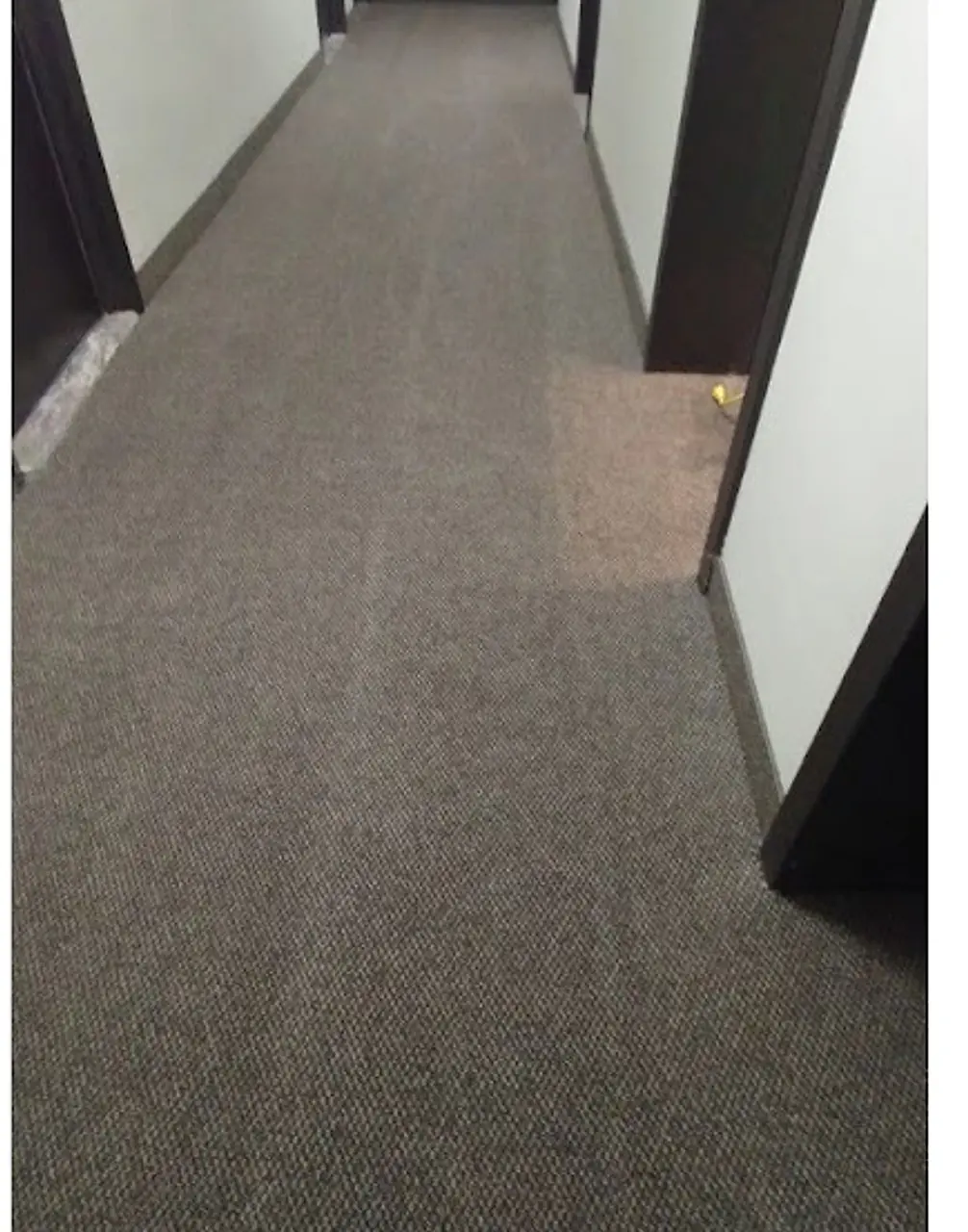 Clean high-traffic carpet after Happy House service